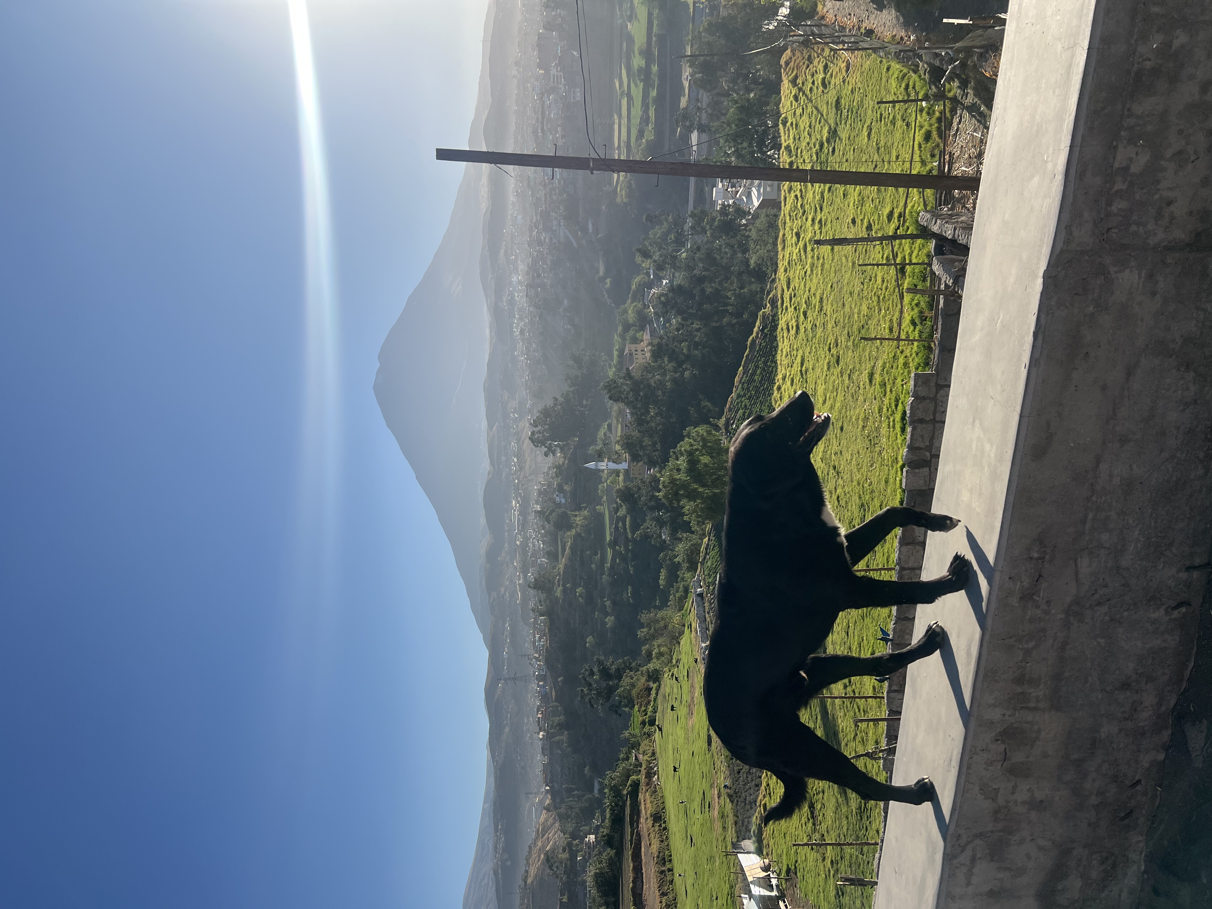 Arequipa Run Club community moment 9