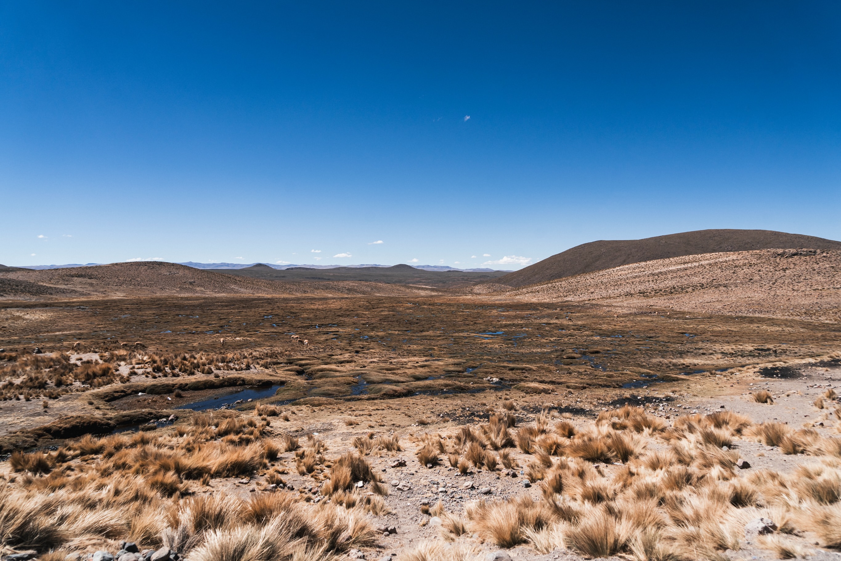 Andean highland landscape seen during the road trip